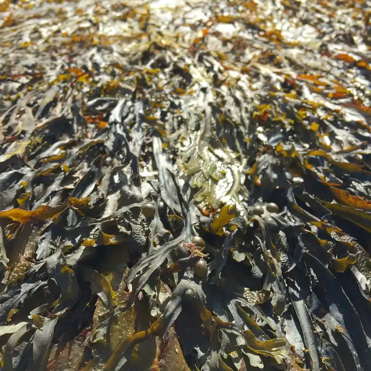 Empowering Coastal Communities
